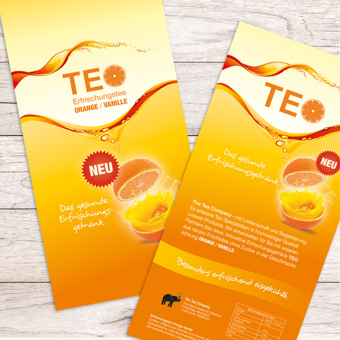 TEO Flyer